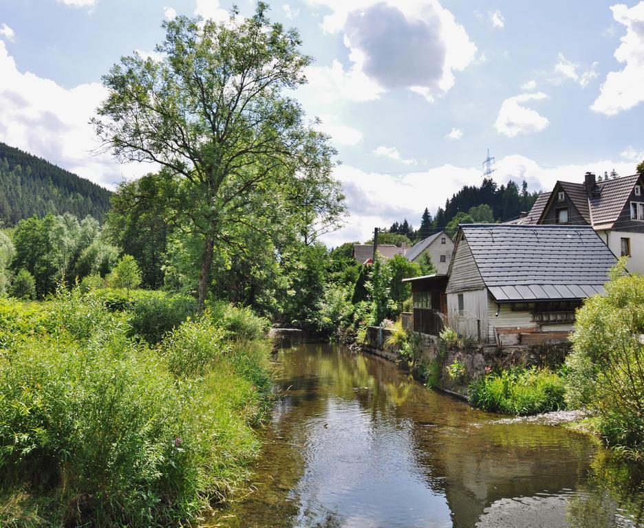 Flair-Hotel Waldfrieden Oberweißbach Exteriör bild