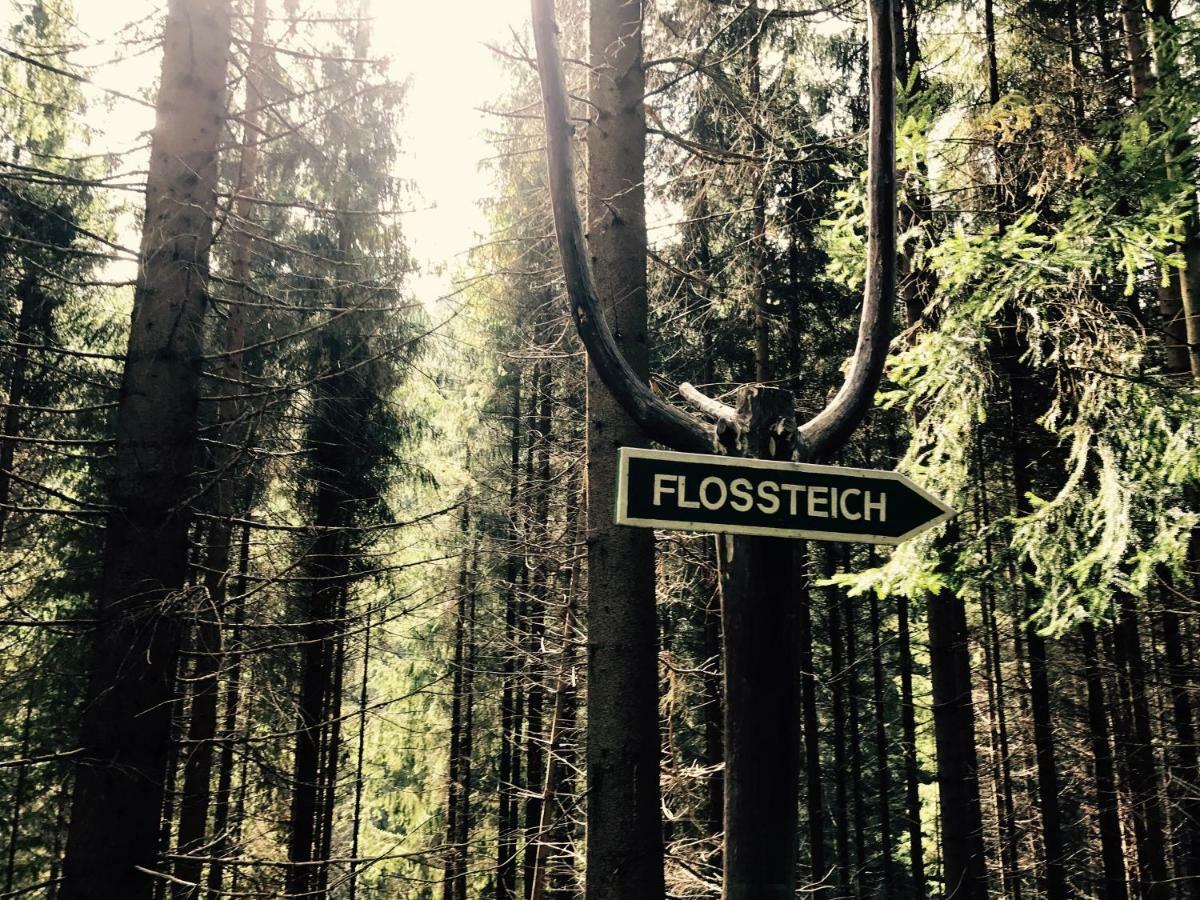 Flair-Hotel Waldfrieden Oberweißbach Exteriör bild