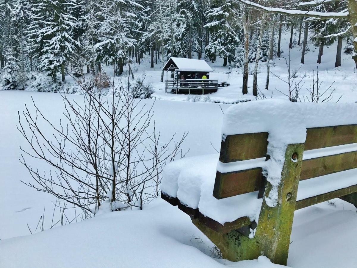 Flair-Hotel Waldfrieden Oberweißbach Exteriör bild